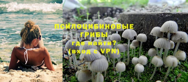 ПСИЛОЦИБИНОВЫЕ ГРИБЫ Медногорск