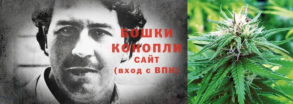 ПСИЛОЦИБИНОВЫЕ ГРИБЫ Медногорск