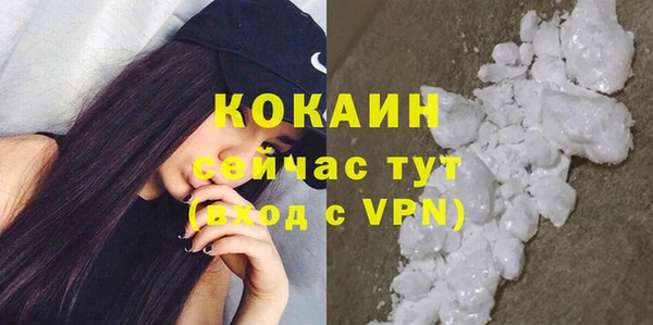 ПСИЛОЦИБИНОВЫЕ ГРИБЫ Медногорск