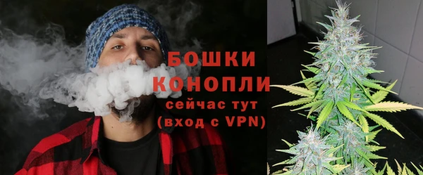 ПСИЛОЦИБИНОВЫЕ ГРИБЫ Медногорск