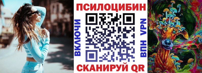 blacksprut   Игра  Галлюциногенные грибы Cubensis 