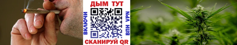 Каннабис сатива  блэк спрут зеркало  Игра 